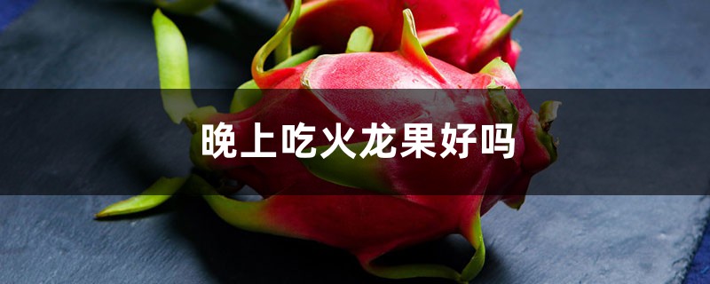 晚上吃火龙果好吗,晚上可以吃火龙果吗 晚上吃火龙果好吗,晚上可以吃火龙果吗