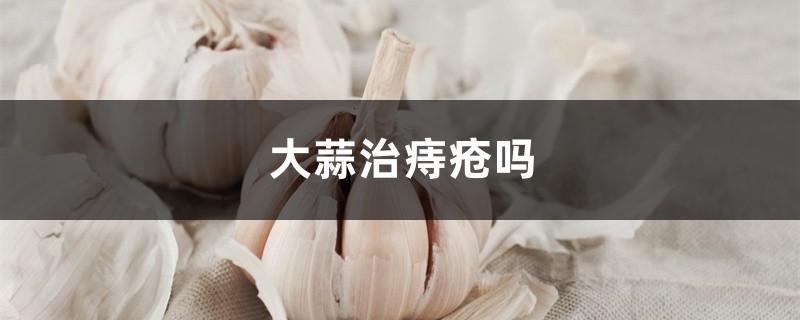 大蒜治痔疮吗,大蒜的功效 大蒜治痔疮吗,大蒜的功效