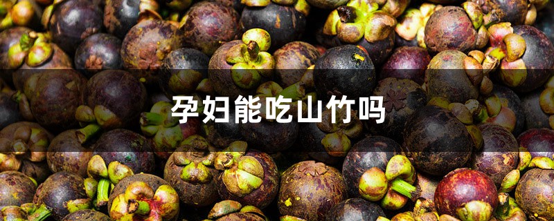 孕妇能吃山竹吗,吃山竹有什么好处 孕妇能吃山竹吗,吃山竹有什么好处