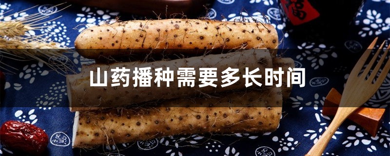 山药播种需要多长时间,山药种植方法有几种 山药播种需要多长时间,山药种植方法有几种
