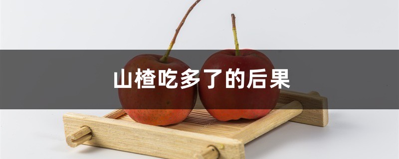山楂吃多了的后果,吃山楂好吗 山楂吃多了的后果,吃山楂好吗