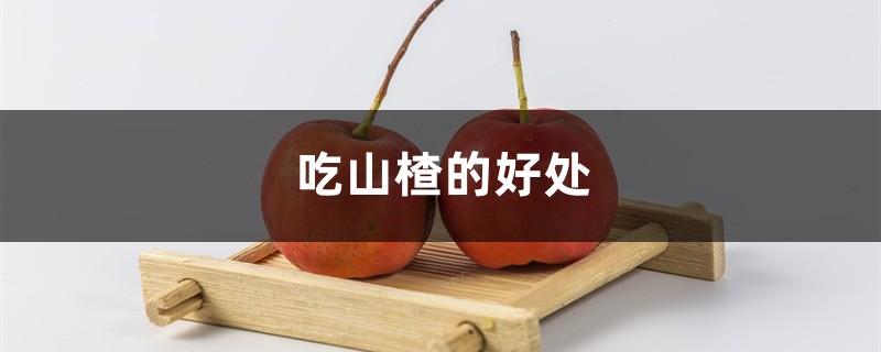 吃山楂的好处,什么人不能吃山楂 吃山楂的好处,什么人不能吃山楂