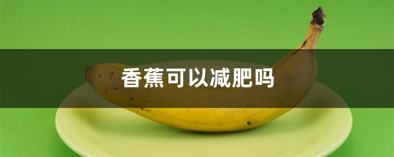 香蕉可以减肥吗,香蕉减肥法介绍 香蕉可以减肥吗,香蕉减肥法介绍
