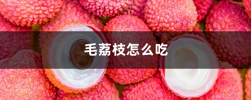 毛荔枝怎么吃,毛荔枝图片 毛荔枝怎么吃,毛荔枝图片