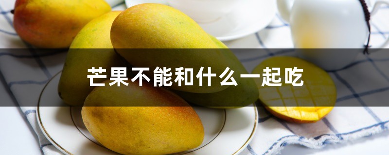 芒果不能和什么一起吃,吃芒果有什么好处 芒果不能和什么一起吃,吃芒果有什么好处