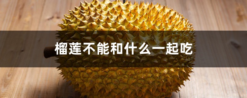 榴莲不能和什么一起吃 榴莲不能和什么一起吃