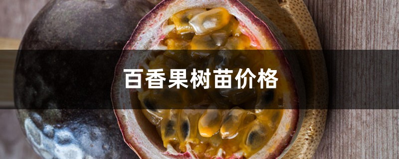 百香果树苗价格,百香果苗多少钱一株 百香果树苗价格,百香果苗多少钱一株