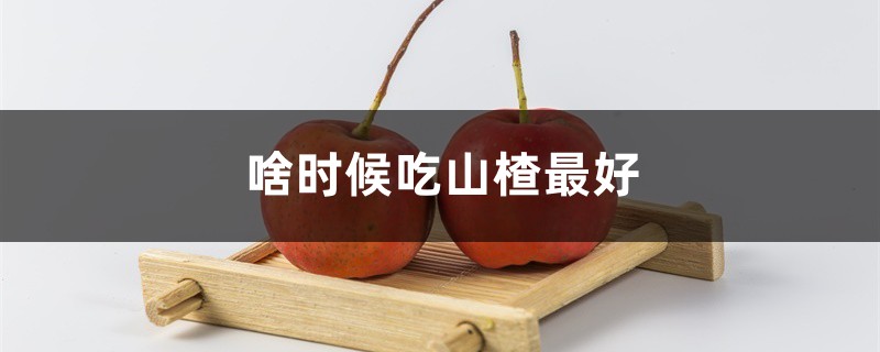 啥时候吃山楂最好,山楂有什么吃法 啥时候吃山楂最好,山楂有什么吃法
