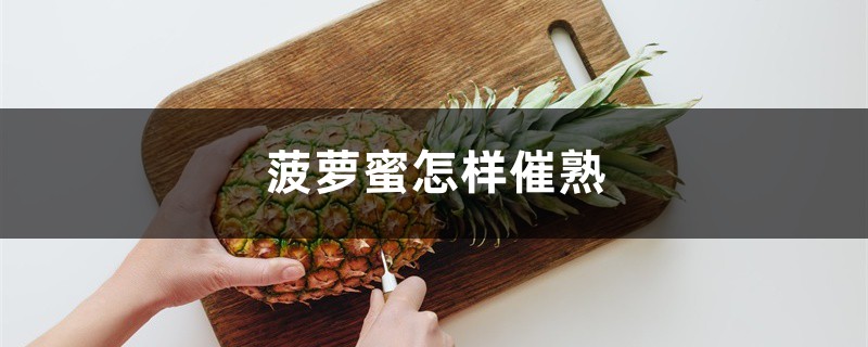 没熟的菠萝蜜怎么催熟 没熟的菠萝蜜怎么催熟