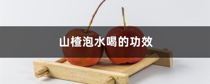 山楂的功效,山楂泡水喝的功效 山楂的功效,山楂泡水喝的功效