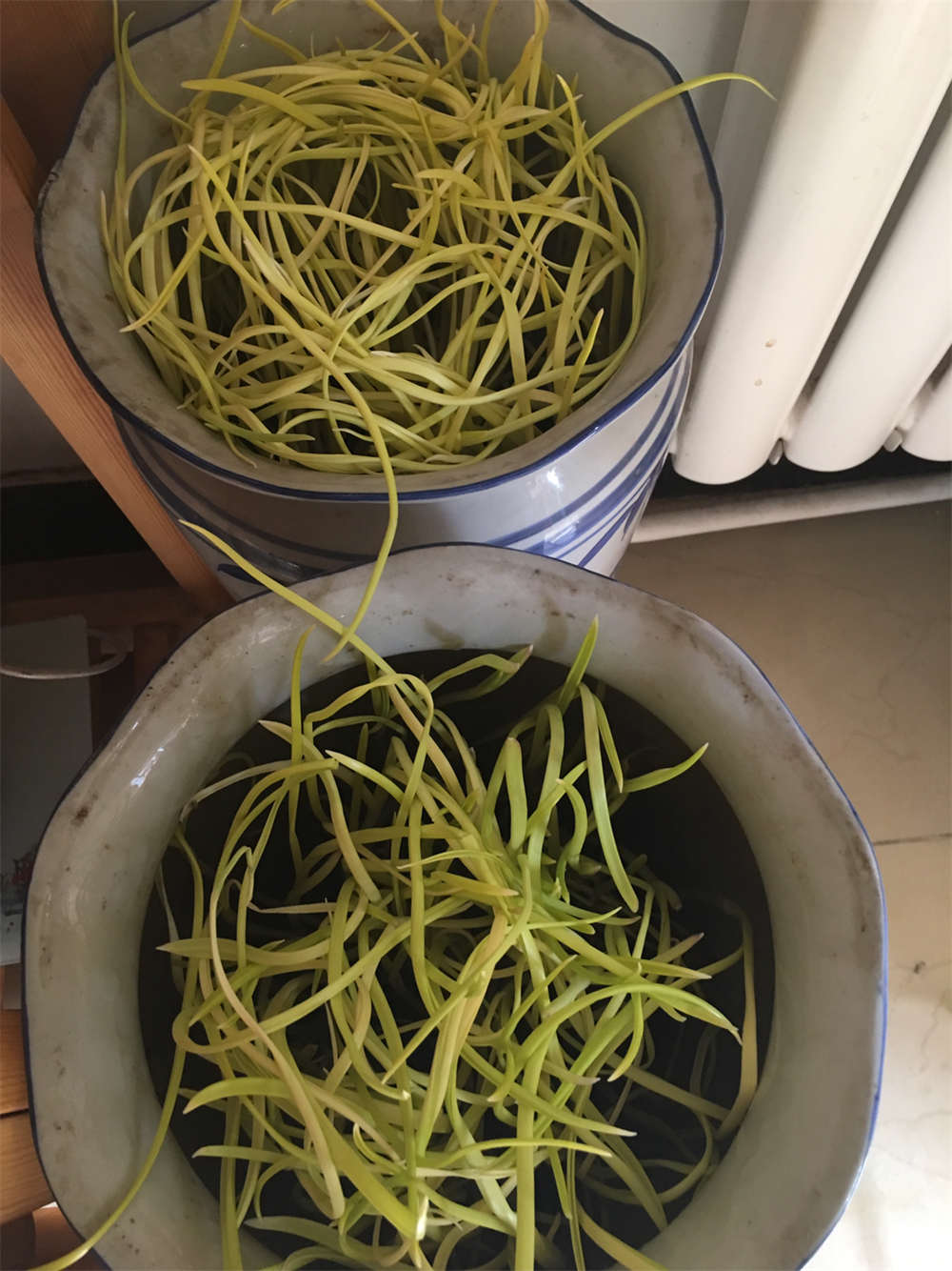蒜黄