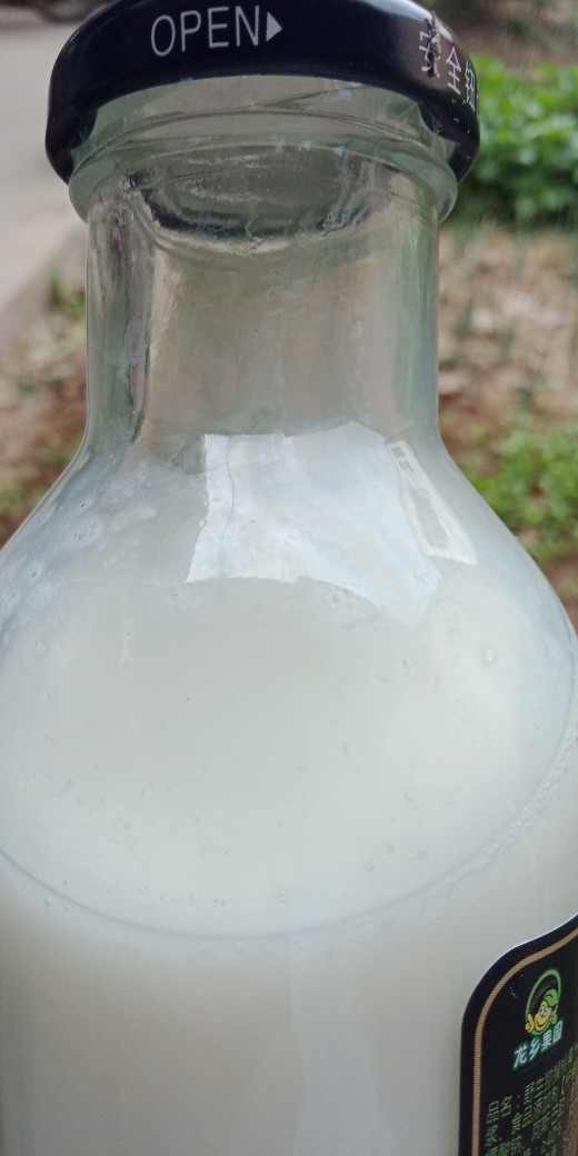 牛奶发酵