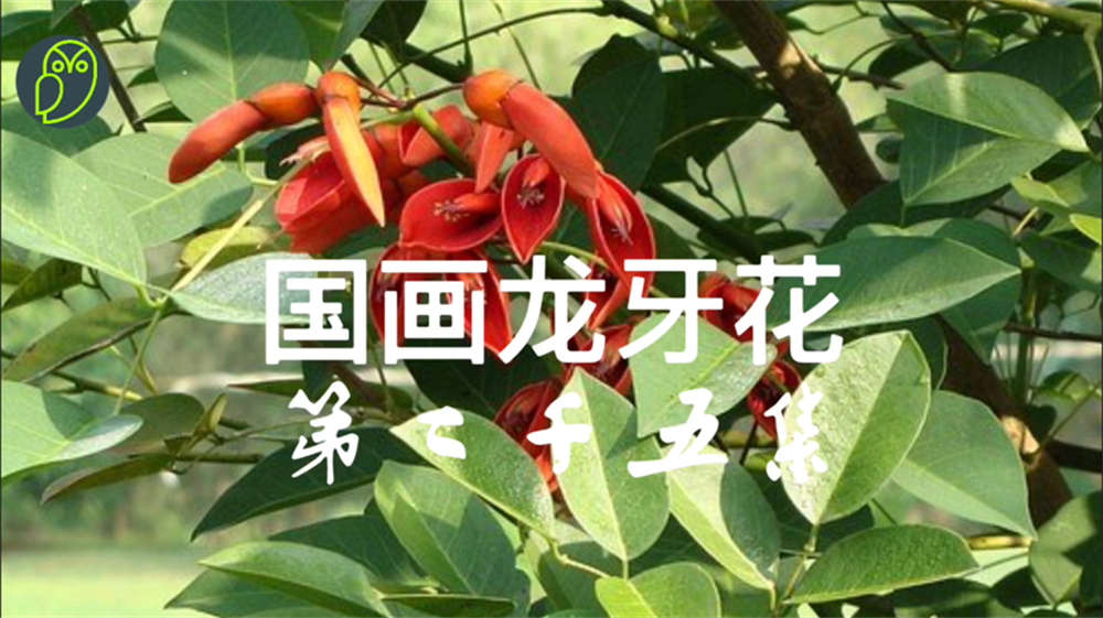 花卉
