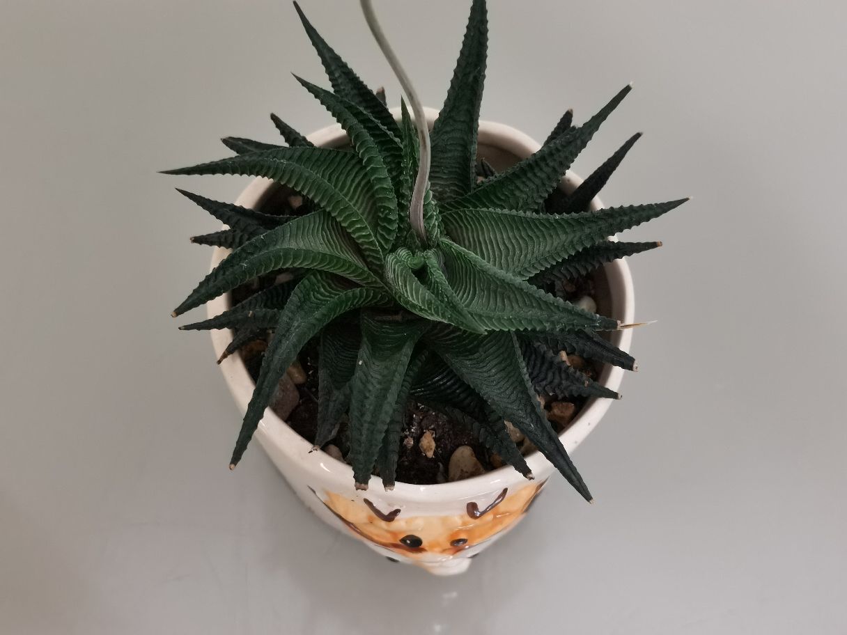 琉璃殿