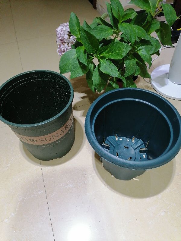 花盆