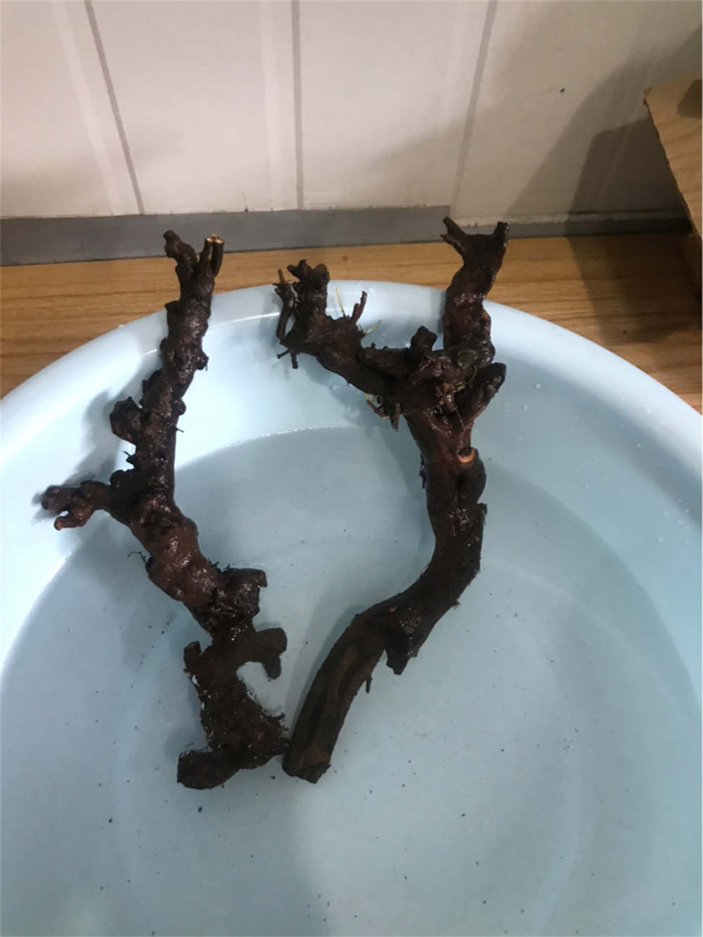 下山桩