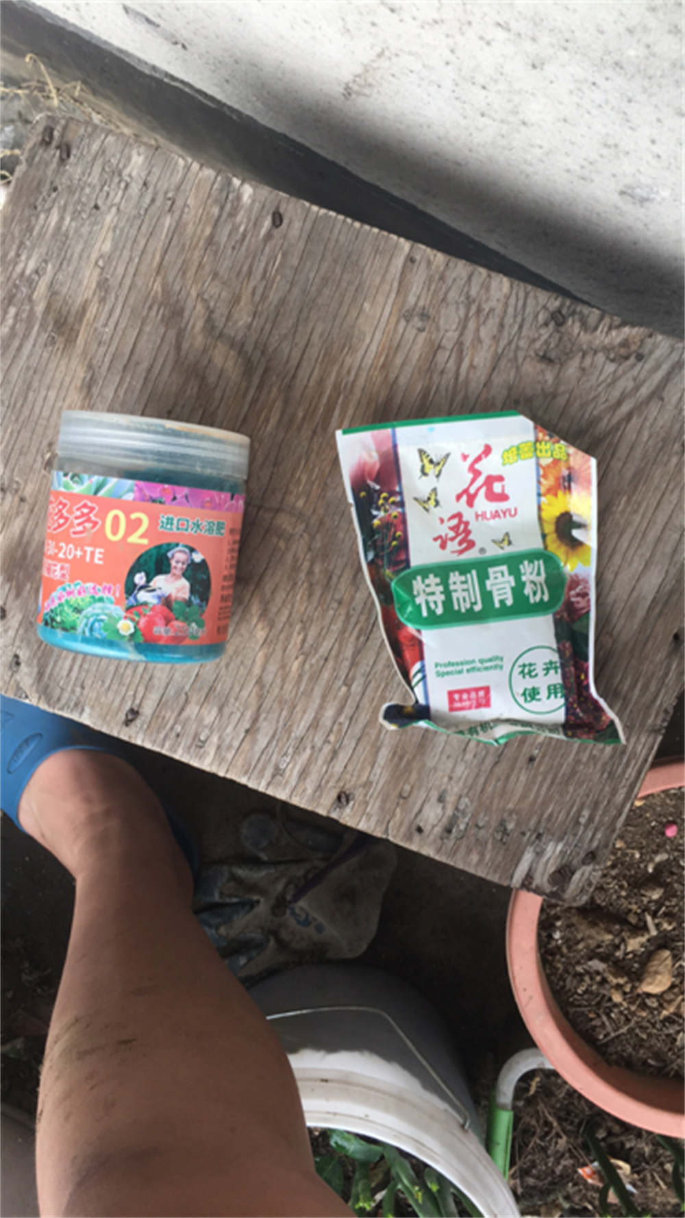 花卉
