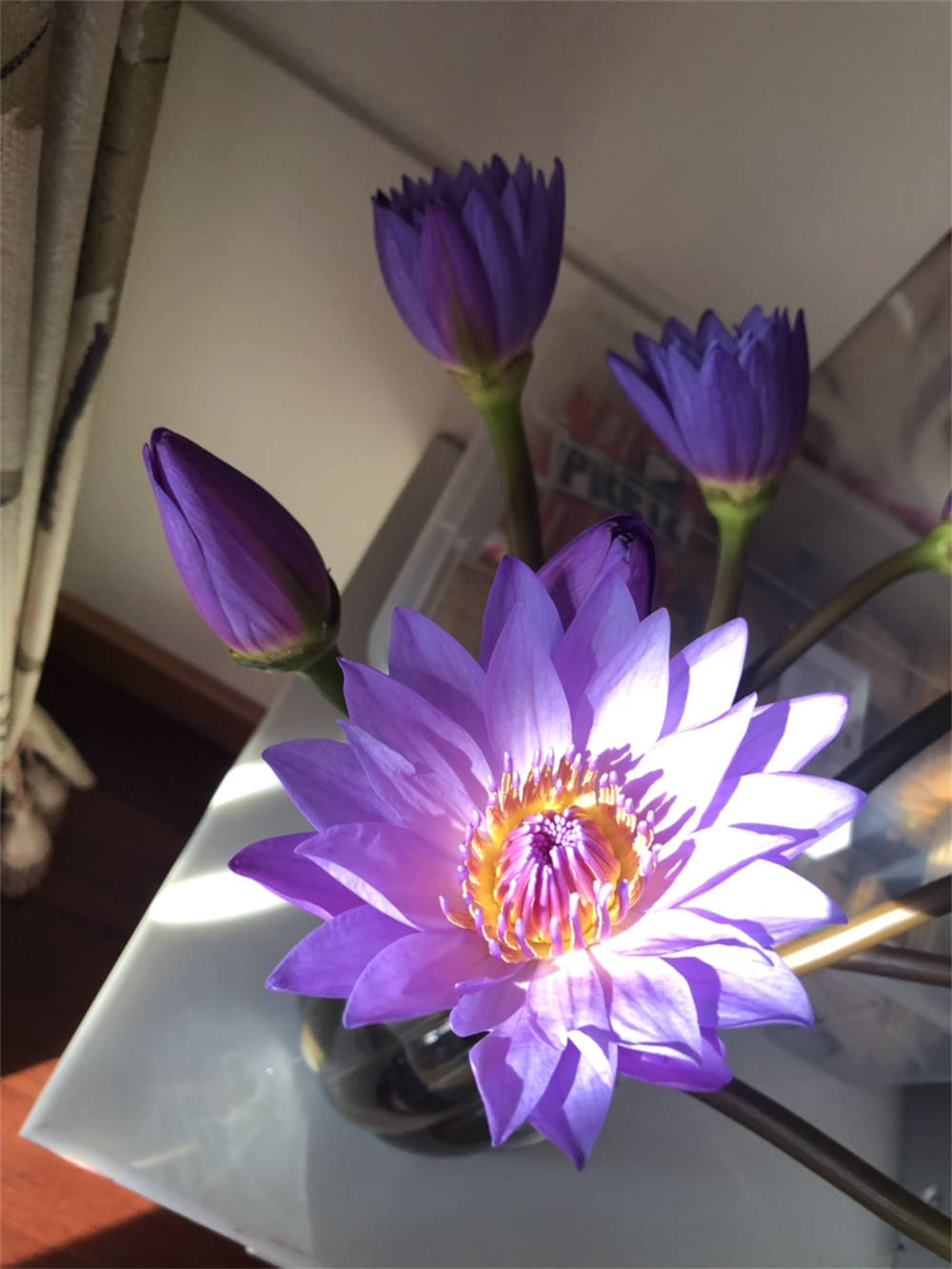 鲜花
