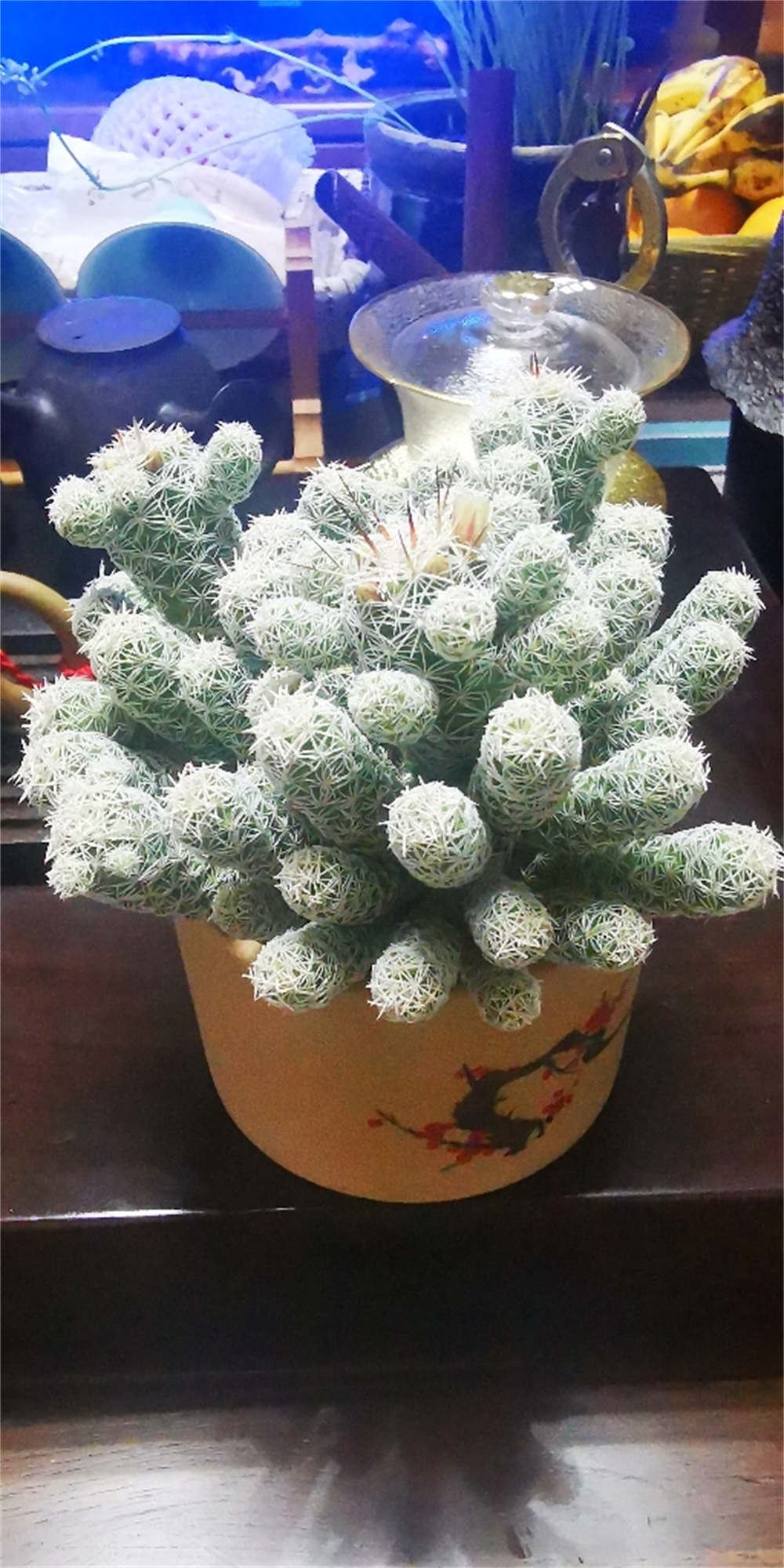 花卉