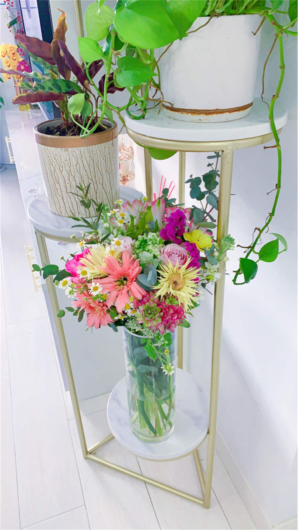 醒花
