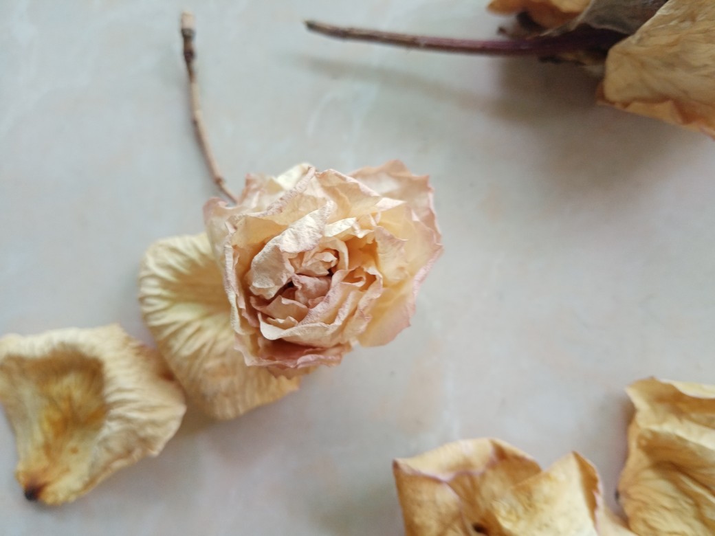 干花