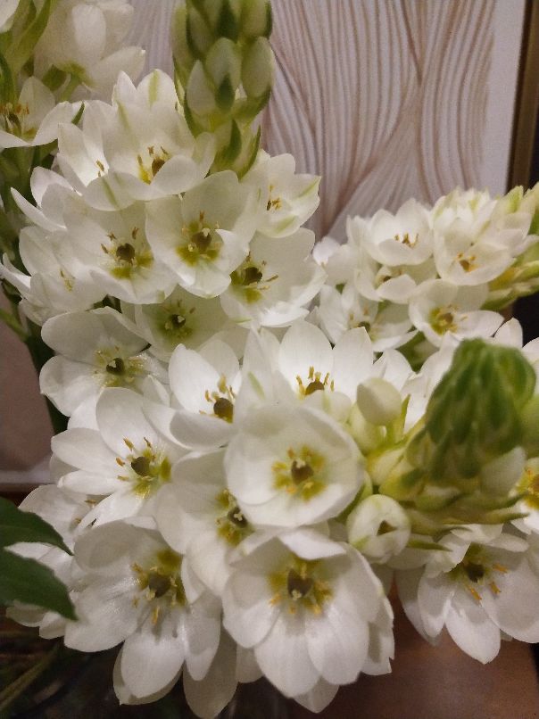 花卉