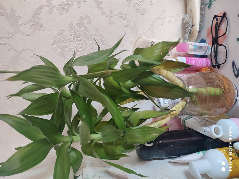 花卉