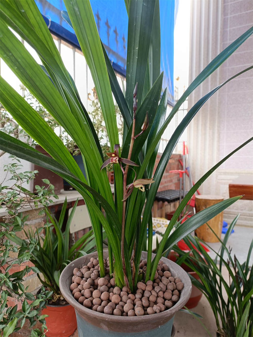 企黑 企黑