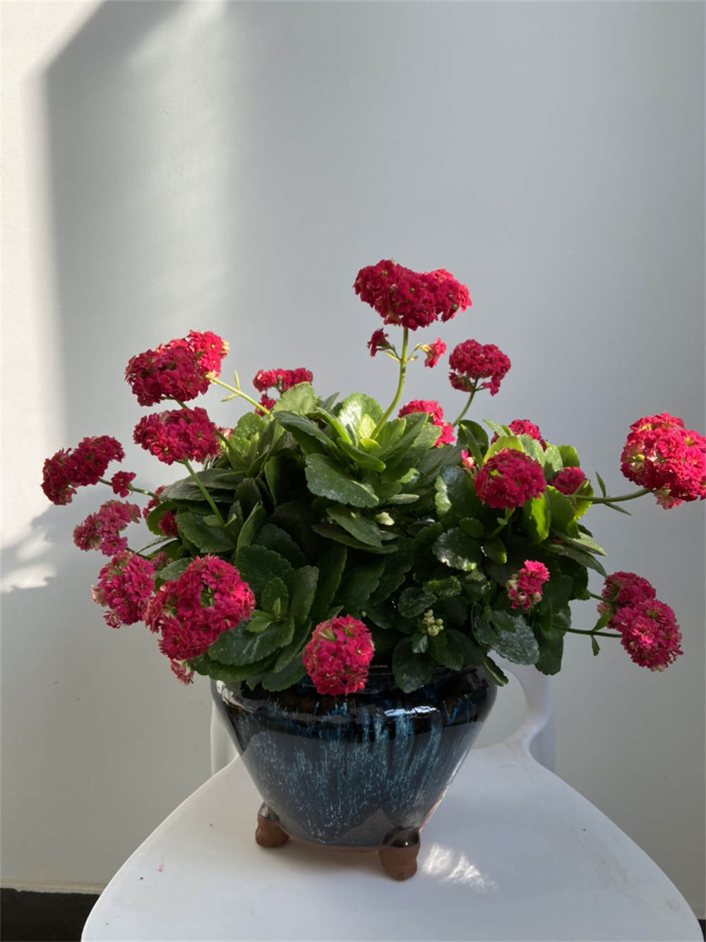 花盆
