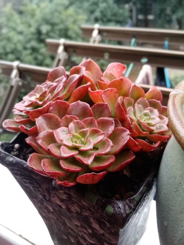 侧影