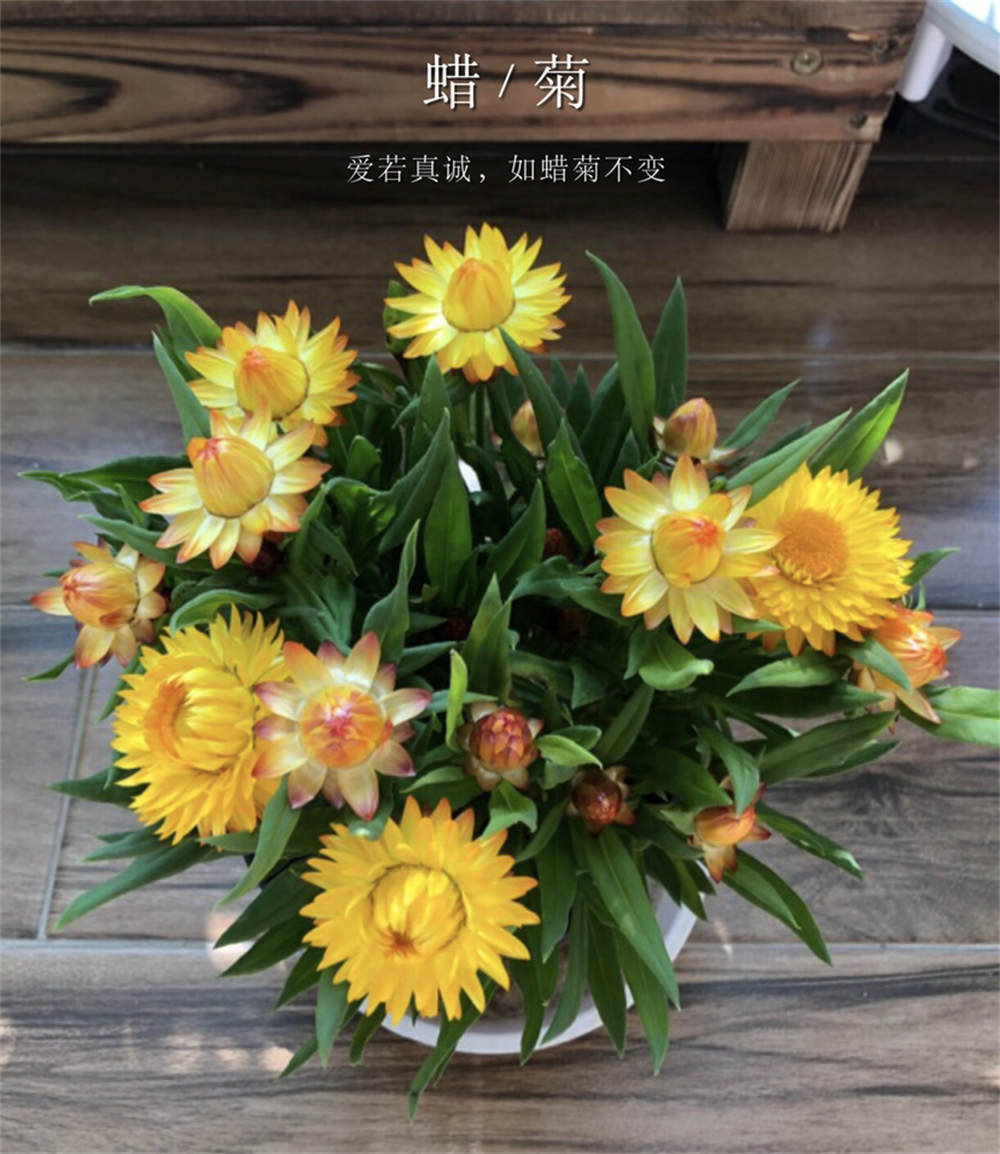 花卉