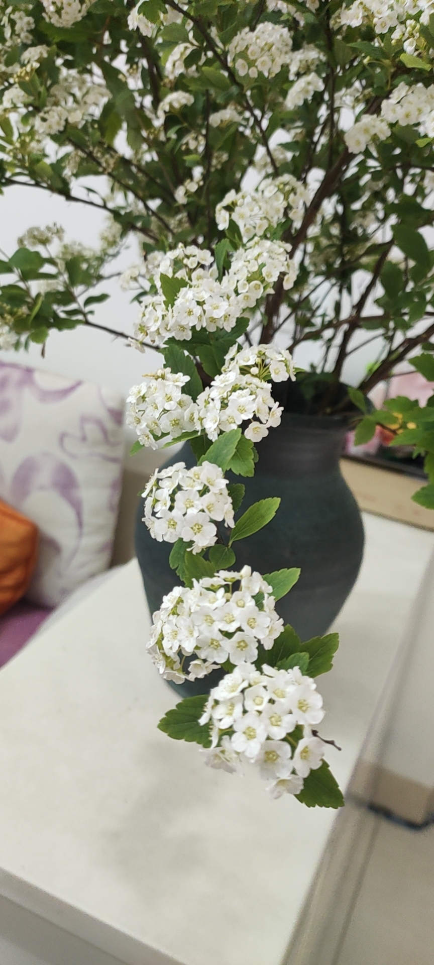 小手球