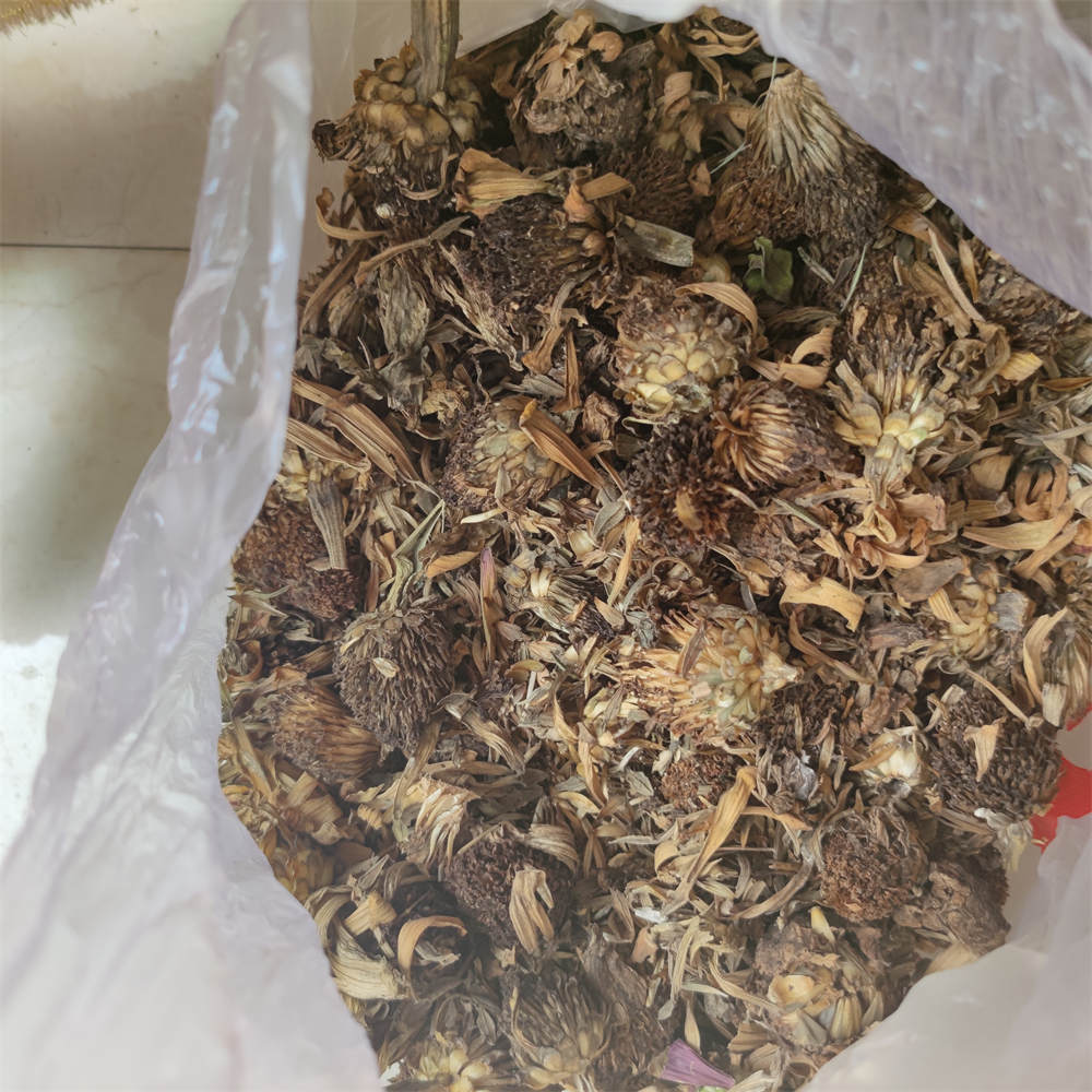 种子