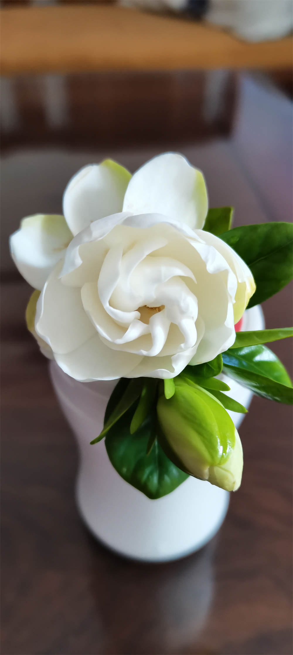 栀子花