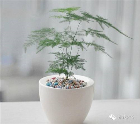 烟尘太多